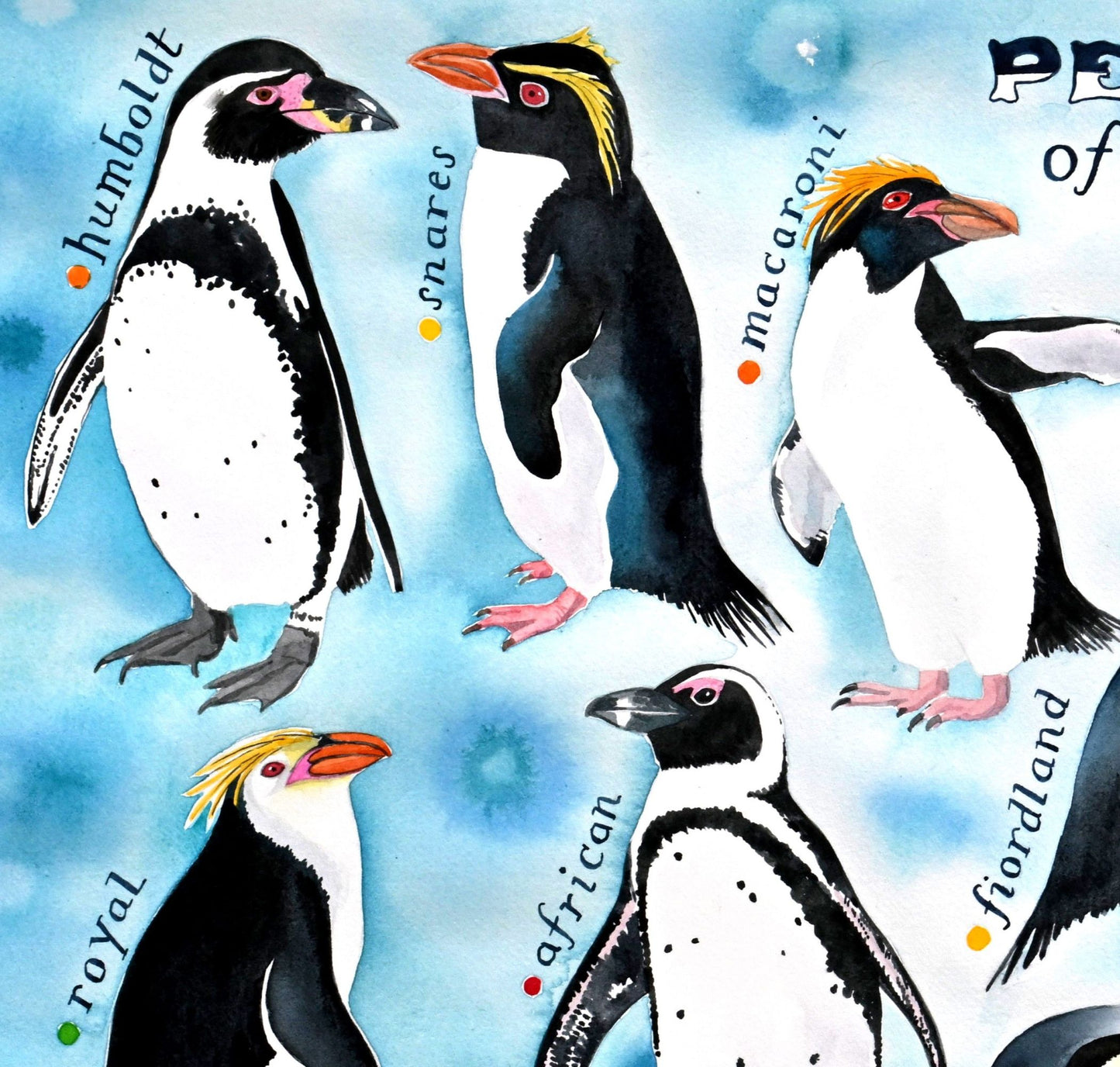 Penguins of the world - a painting of 17 species of penguins