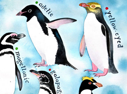 Penguins of the world - a painting of 17 species of penguins