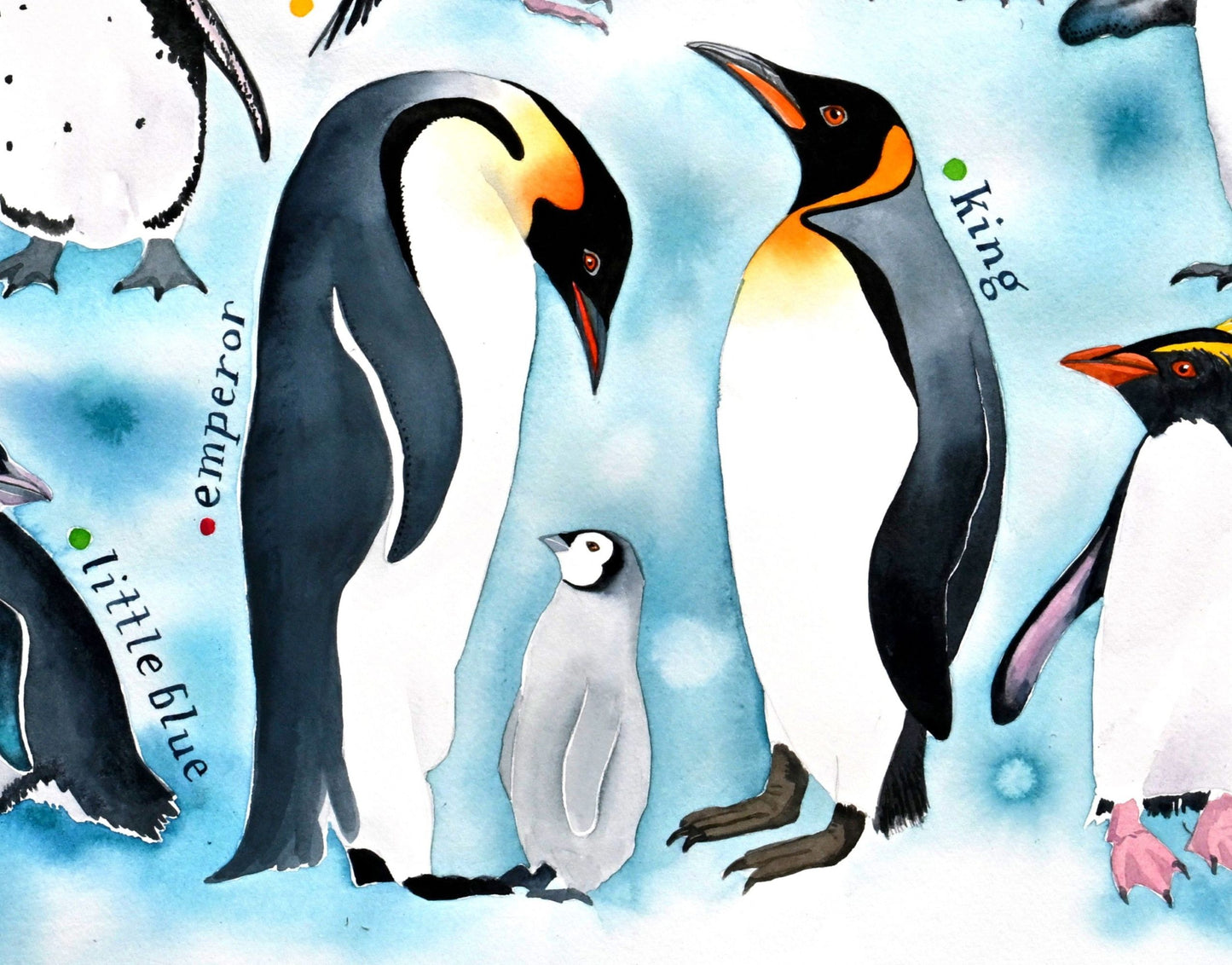 Penguins of the world - a painting of 17 species of penguins