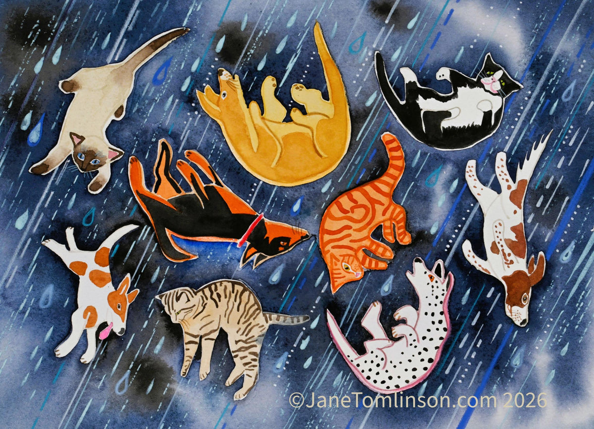 Raining Cats and Dogs Again