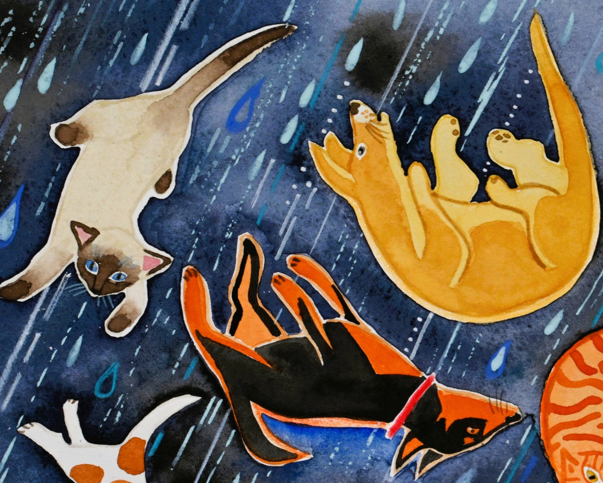 Raining Cats and Dogs Again