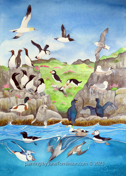 Seabird spectacular - a painting by Jane Tomlinson