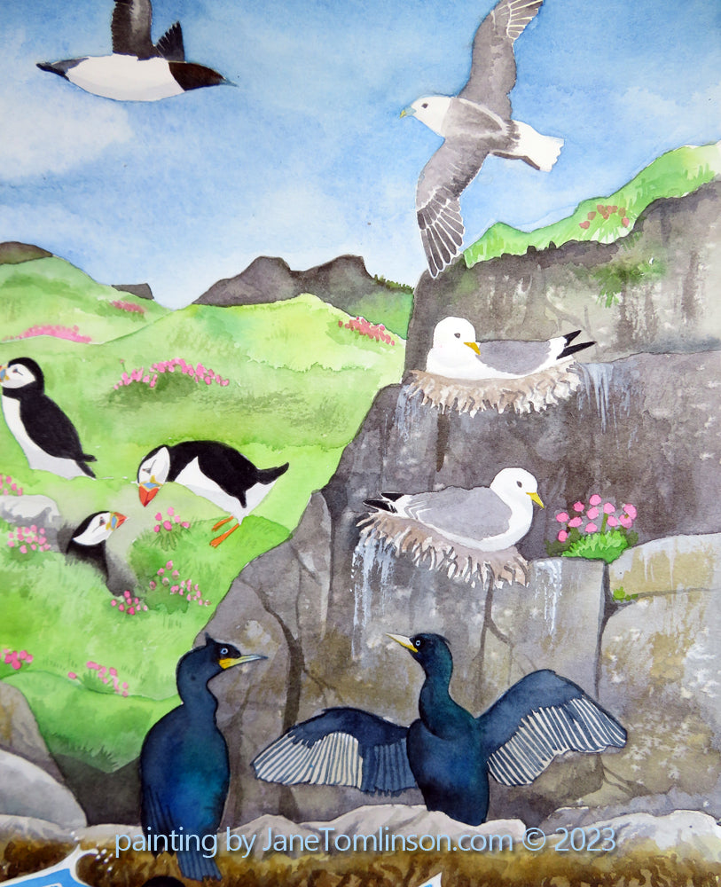 Seabird spectacular - a painting by Jane Tomlinson