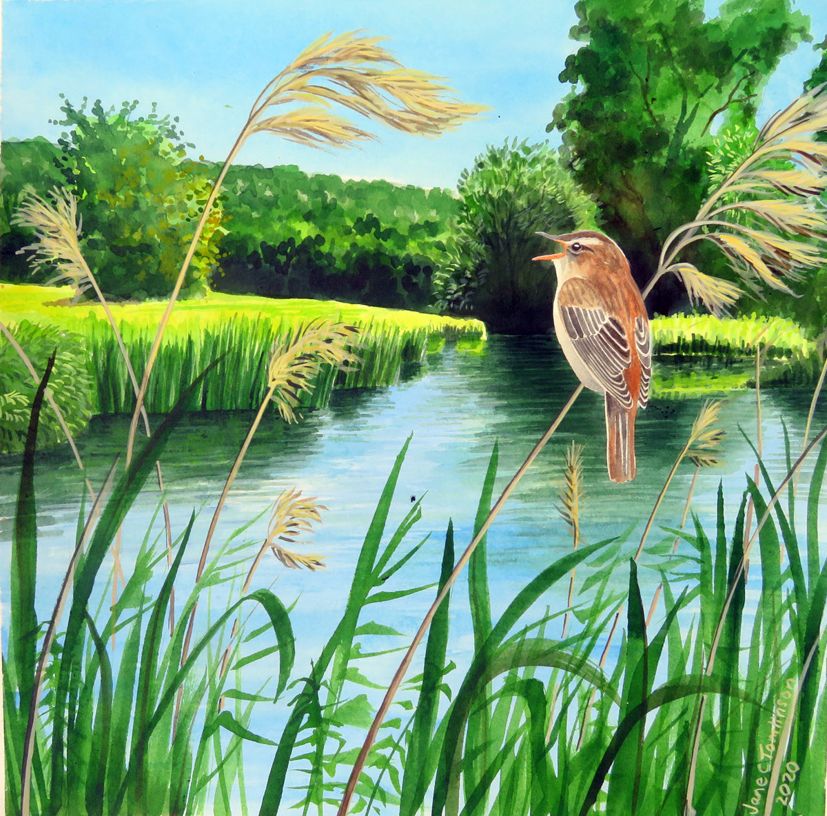 Rivers greetings cards - choose from 9 designs