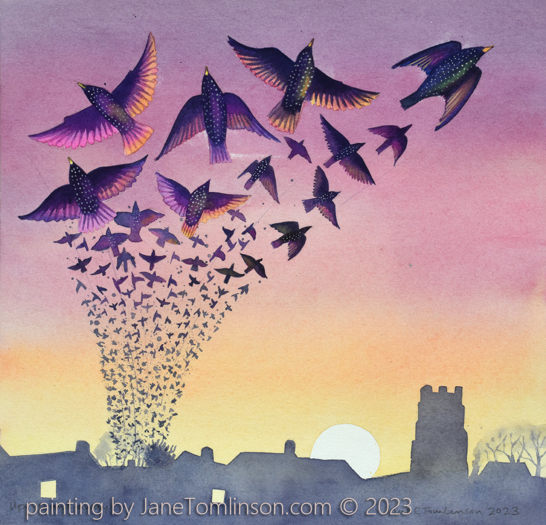 Up up and away! Starlings greetings card