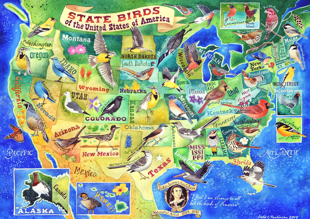 State Birds of the USA