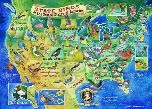 State birds of the US greetings cards