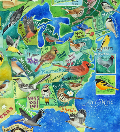 State birds of the US greetings cards