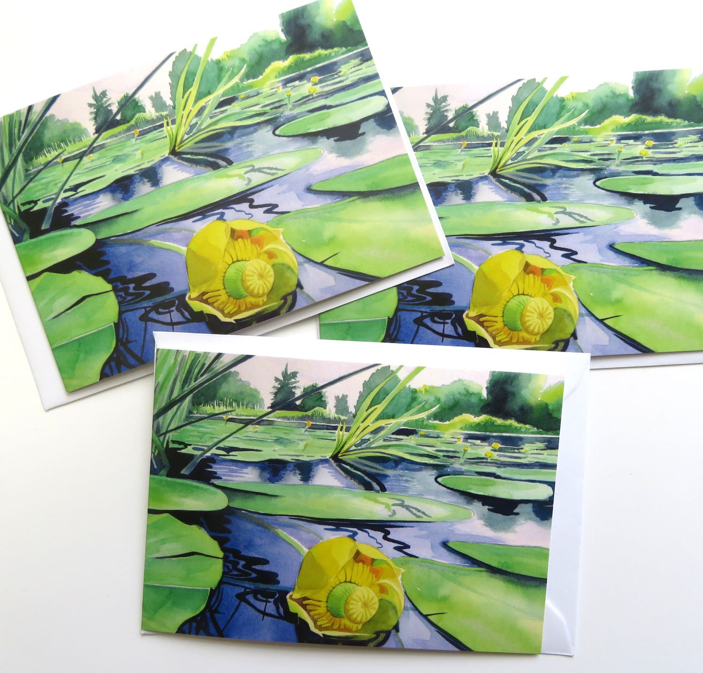 Wharf Stream water lily greetings card