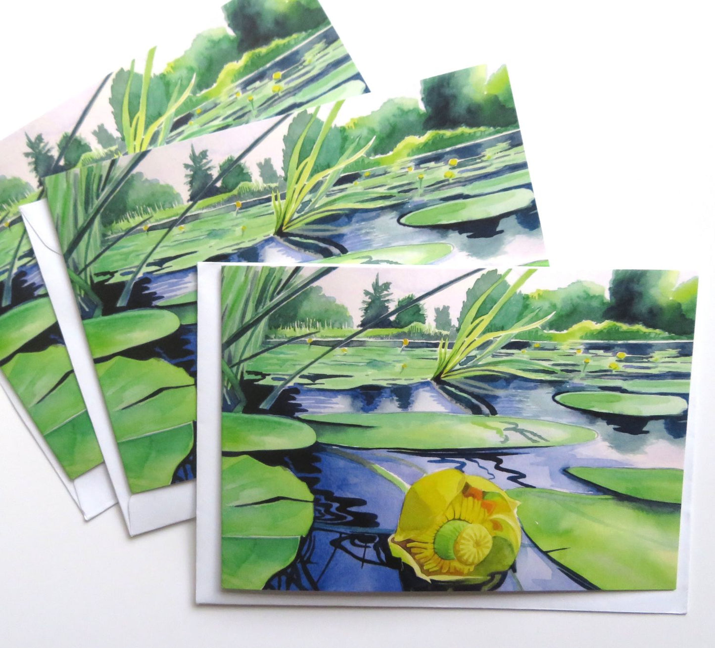 Wharf Stream water lily greetings card