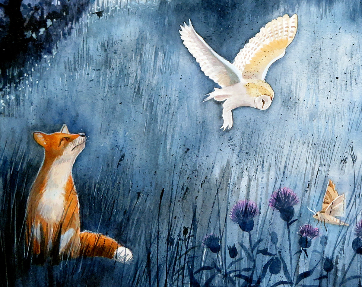 Fox and barn out in a field at night