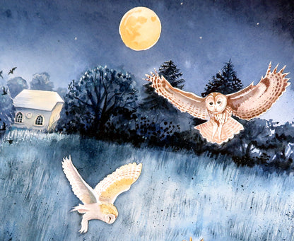 Wild night out in Chapel Meadow with tawny and barn owl