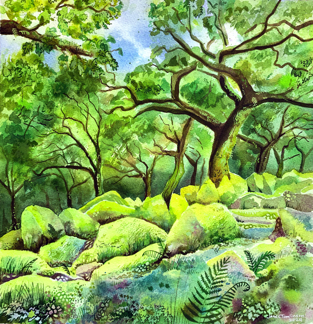 Wistman's Wood (watercolour)