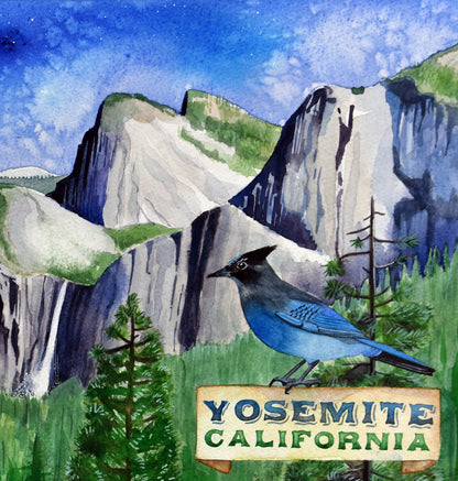 Yosemite, California - a valley view
