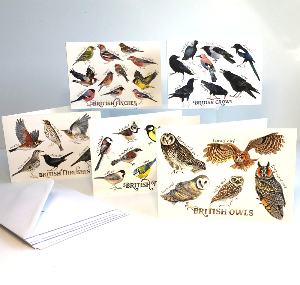 British birds greetings cards - crows, owls, thrushes, tits and finches - a pack of 5 cards