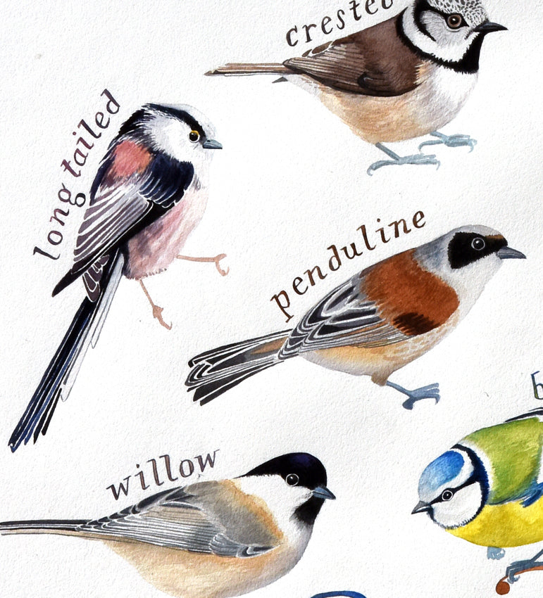 British tits - detail of a painting