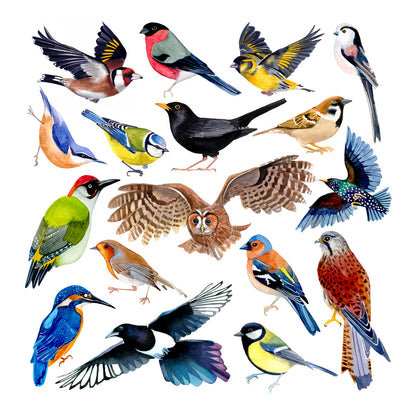 Birds greetings cards - choose from 10 designs