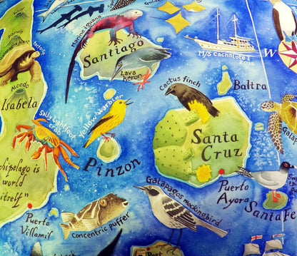Galapagos map Santa Cruz