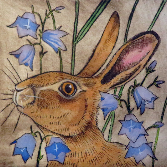 Hare and harebells