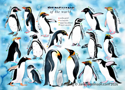 Penguins of the world - a painting of 17 species of penguins