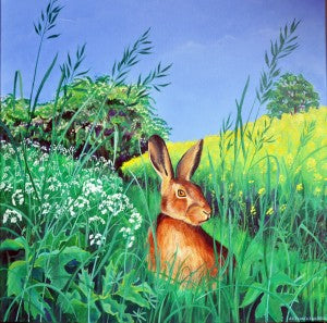 May hare