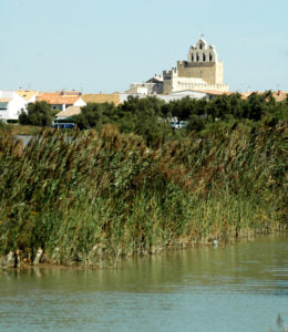 View of Les Stes Maries
