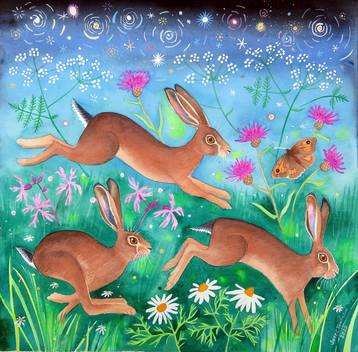 Meadow brown hares - painting by Jane Tomlinson