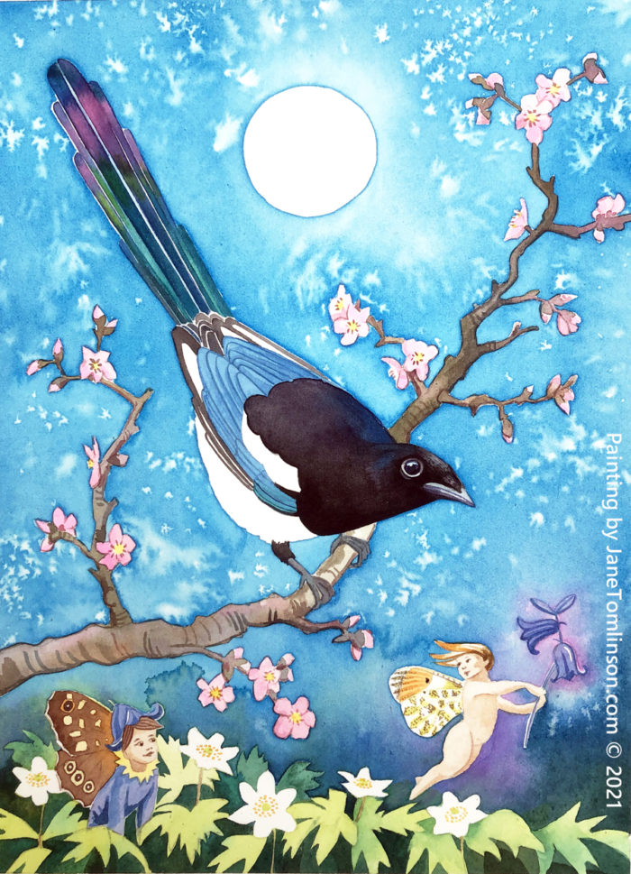Painting of a magpie called Joy with fairies