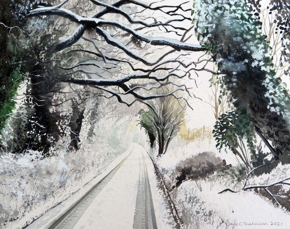 Snowy boughs on the lane