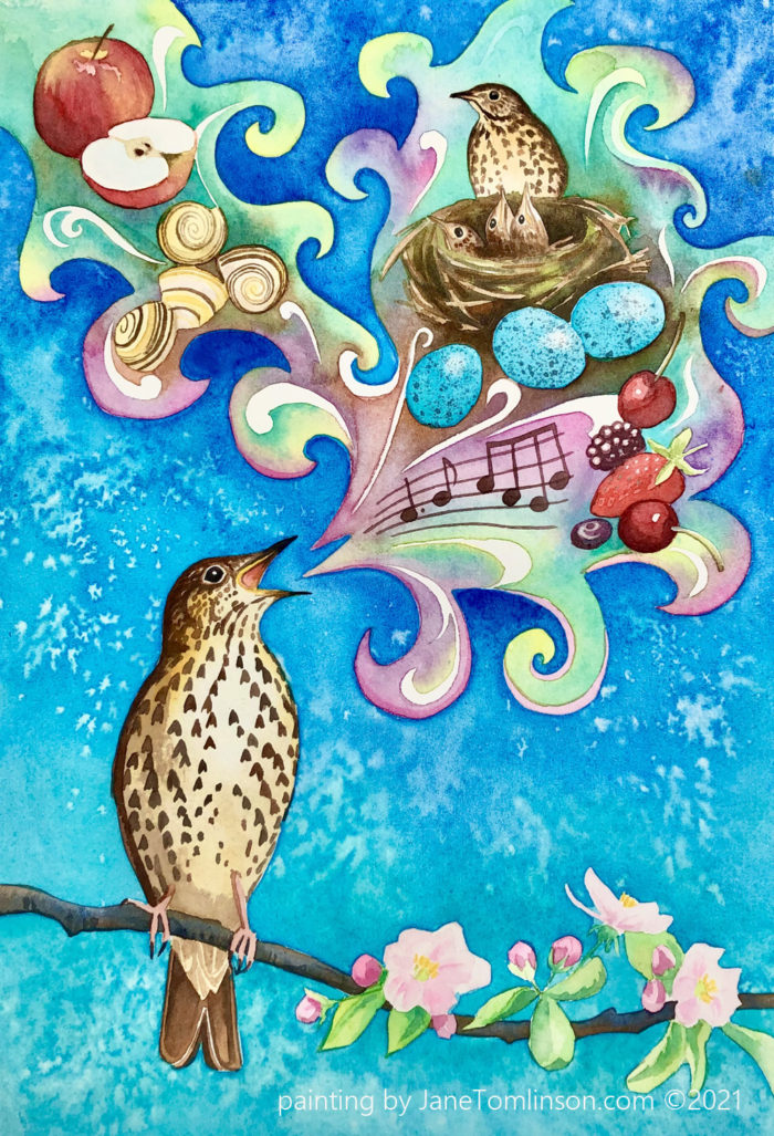 painting of a song thrush singing
