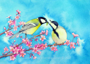 Great tits and blossom